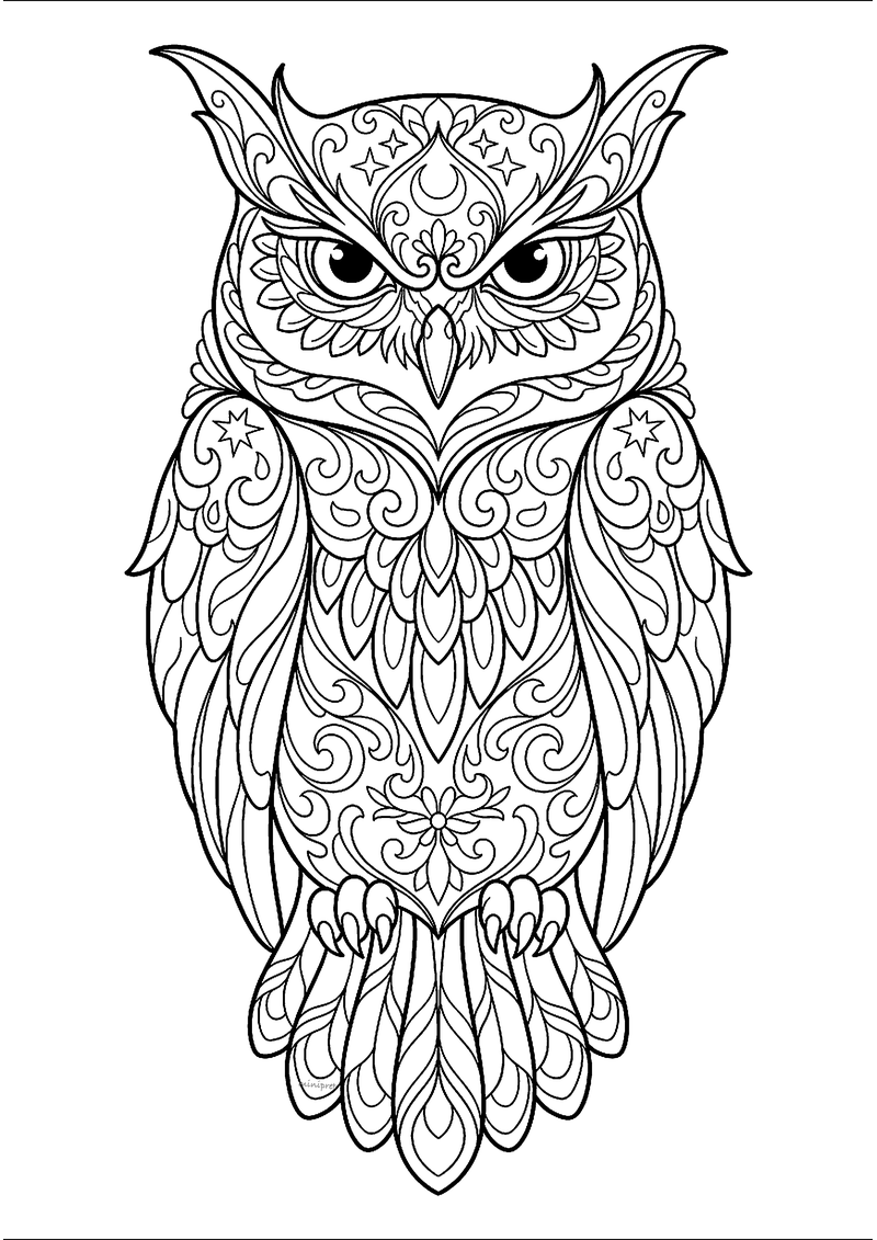 Stoere zittende uil met grote ogen en gedetailleerde verenpatronen, tattoo-flash lijntekening