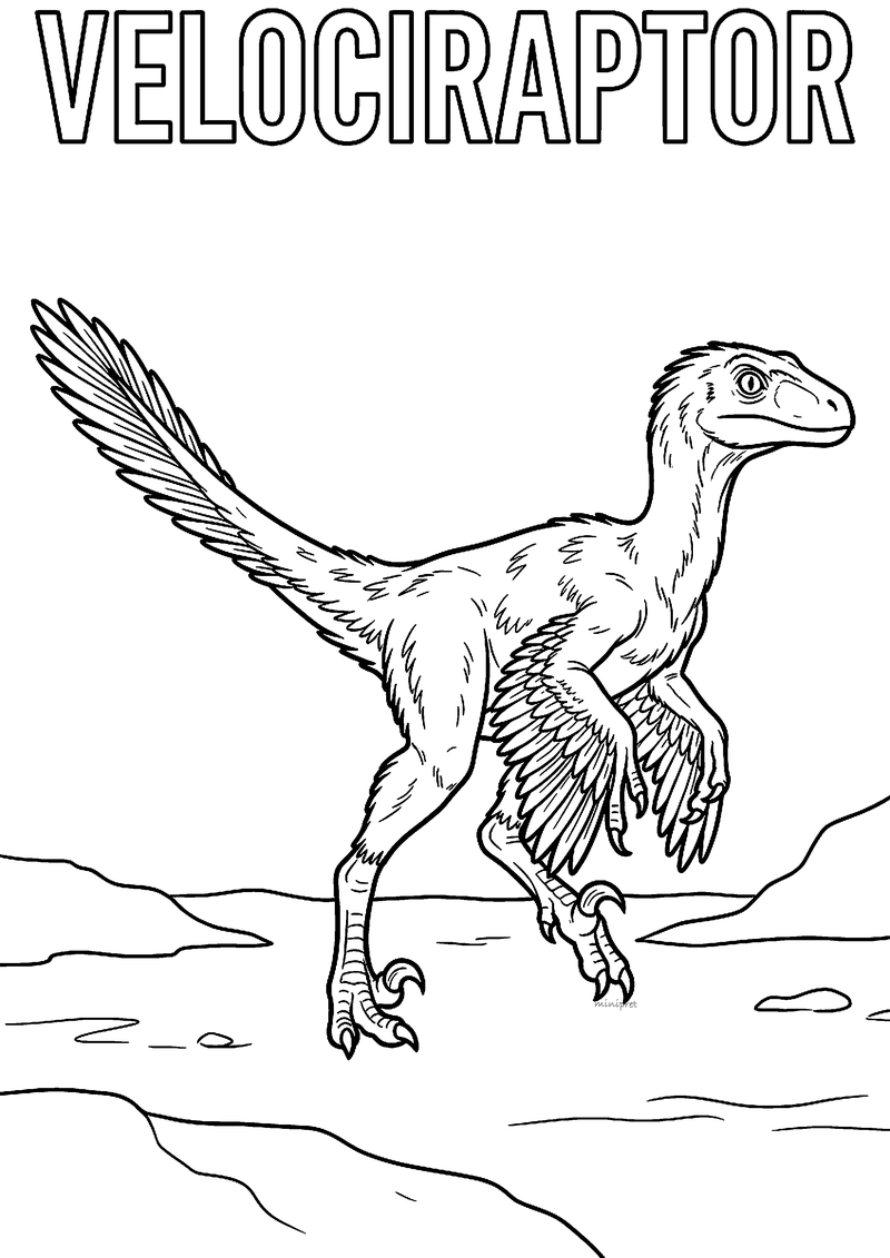Kleurplaat van een rennende velociraptor met veren op armen en staart in een kaal landschap