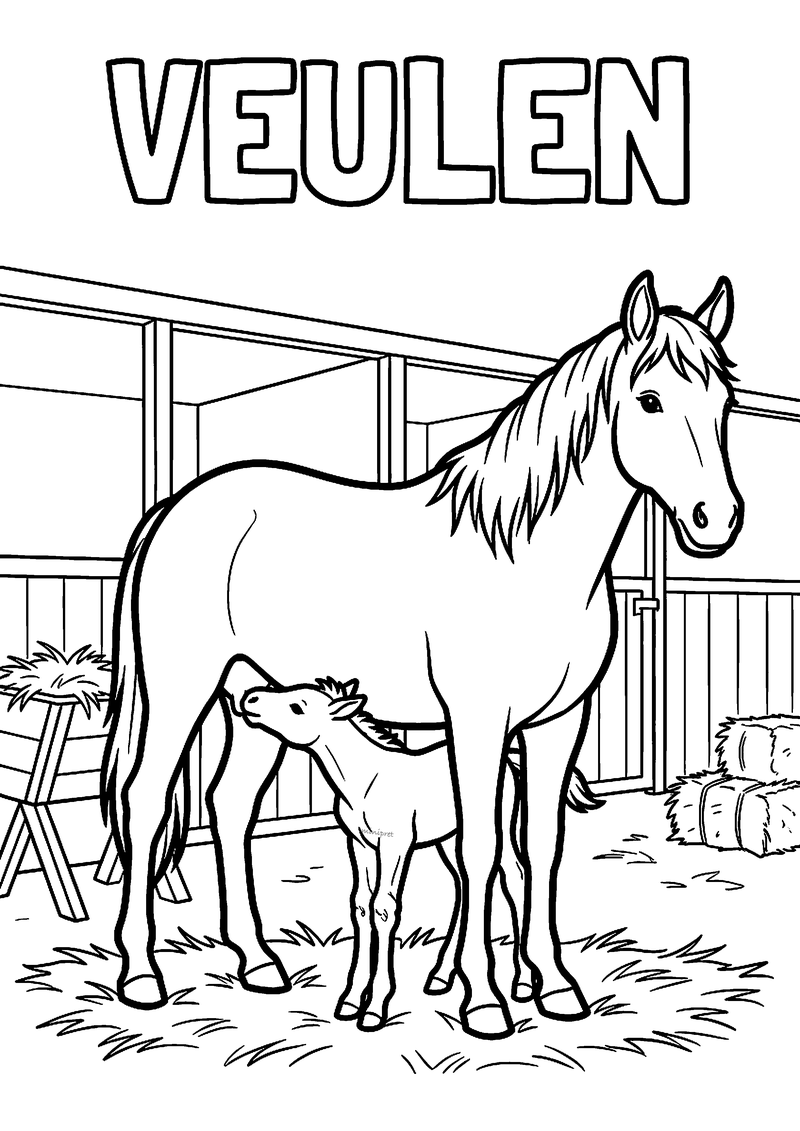 Kleurplaat van een veulen dat onder zijn moeder drinkt in een stal met stro, een hooiruif en hooibalen