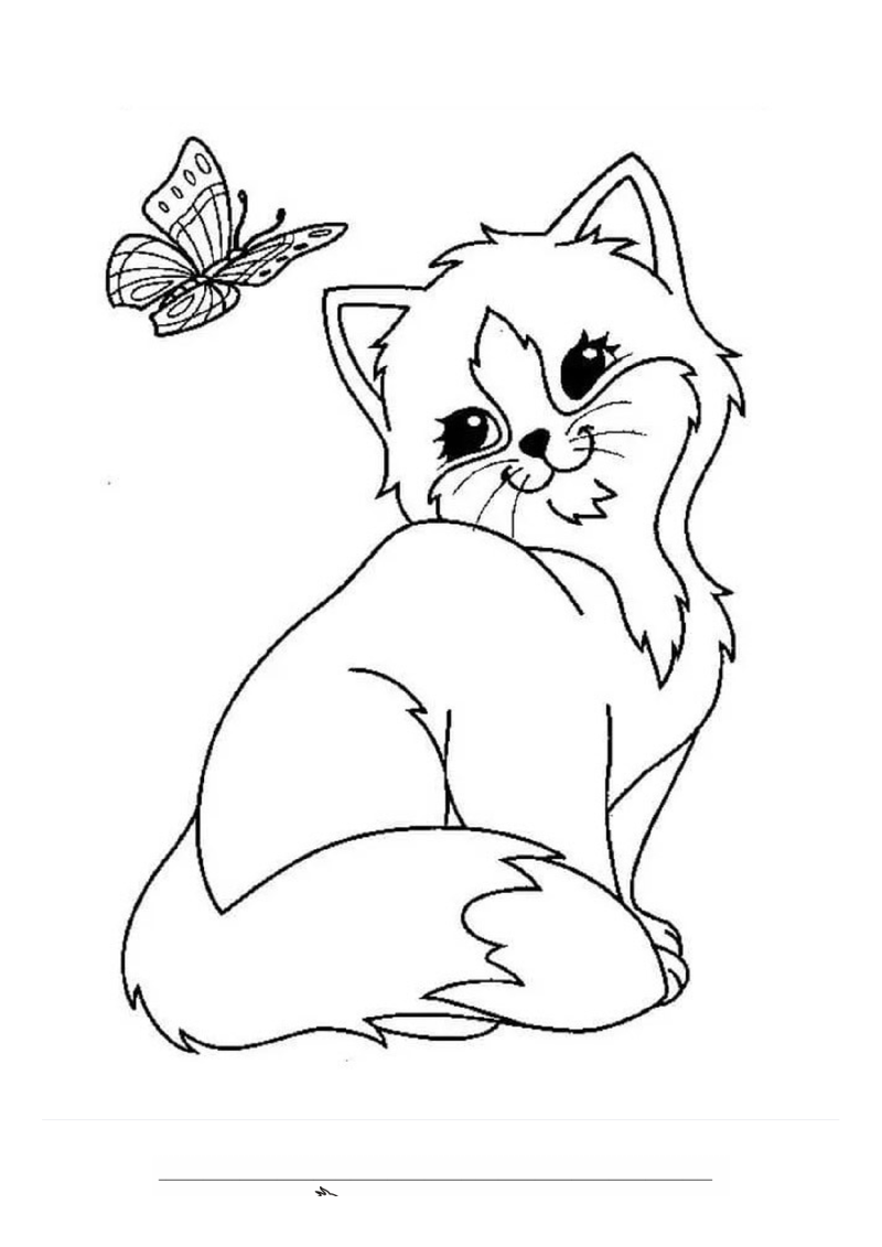 Vlinder en poes Kleurplaat — gratis kleurplaat