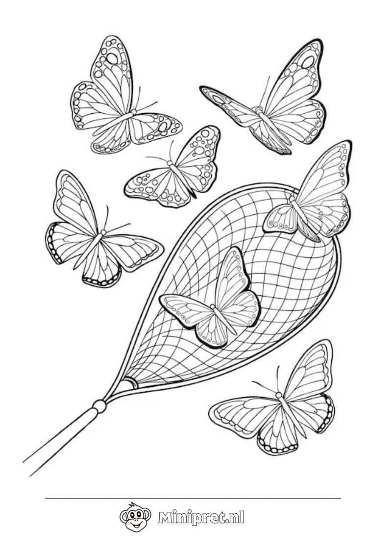 Vlinder in de Zomertuin kleurplaat — gratis kleurplaat