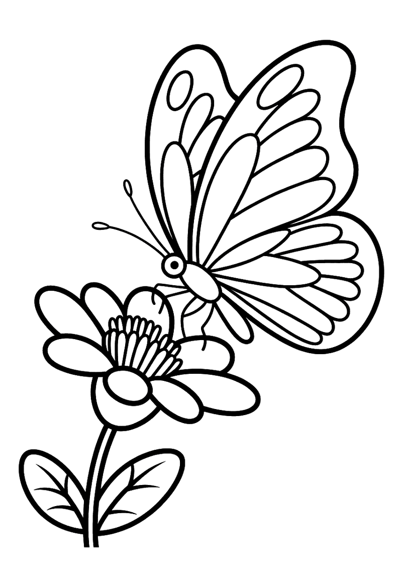 Kleurplaat van een grote vlinder met gedetailleerde vleugels die zit op een bloem met een stengel en twee bladeren