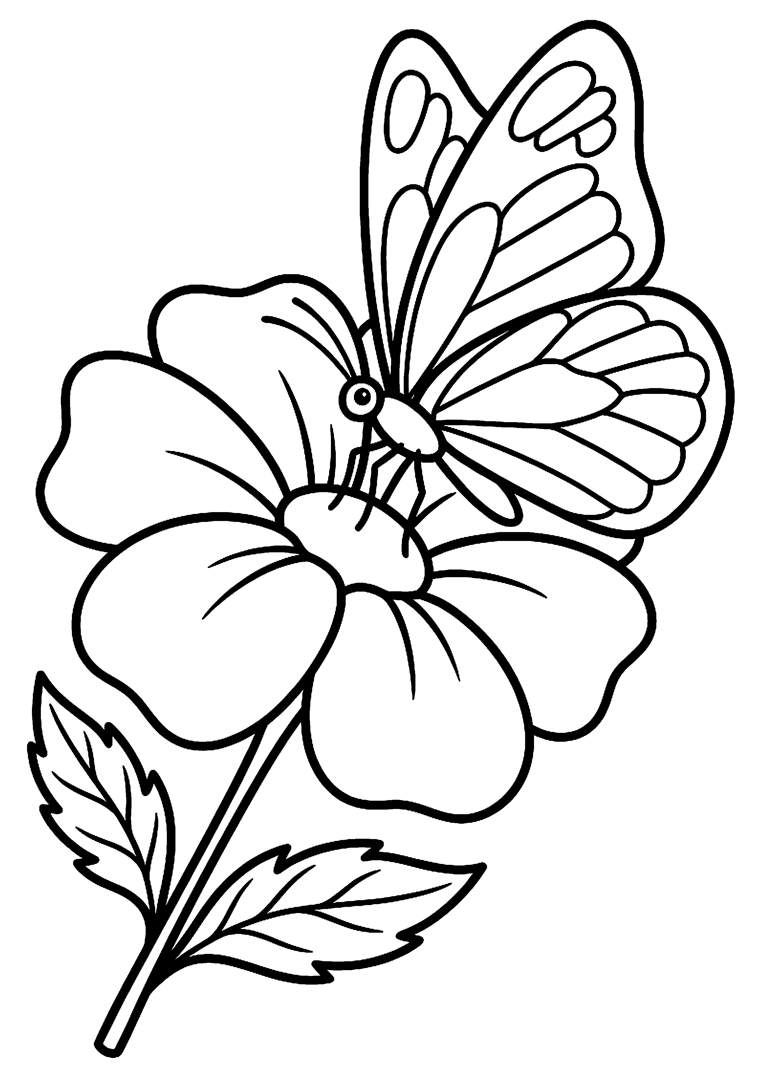 Vlinder op bloem kleurplaat — gratis kleurplaat