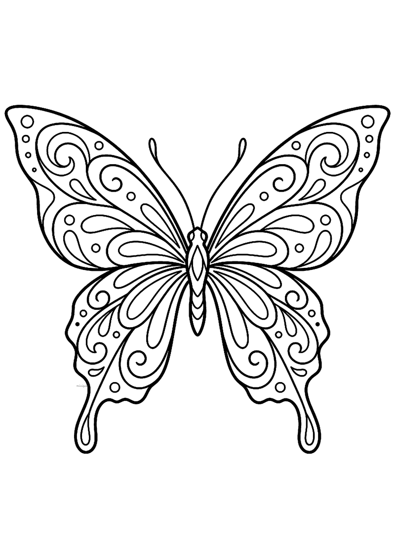 Symmetrische vlinder met sierlijke krullen en ornament in de vleugels, tattoo-flash lijntekening