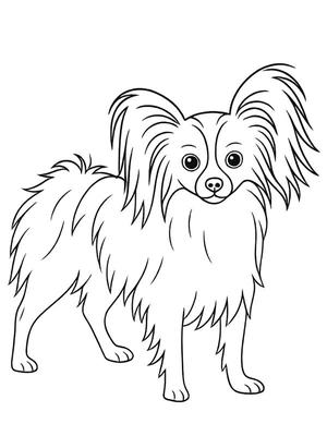 Vlinderhond Kleurplaat — gratis kleurplaat