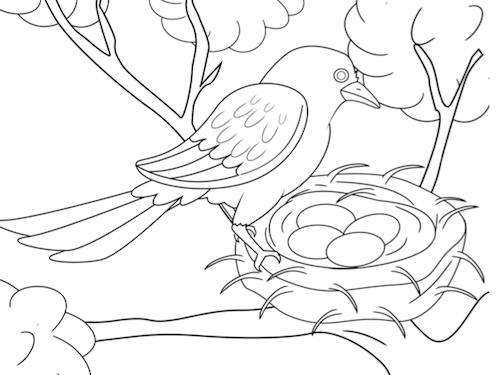 Vogelnest Kleurplaat — gratis kleurplaat