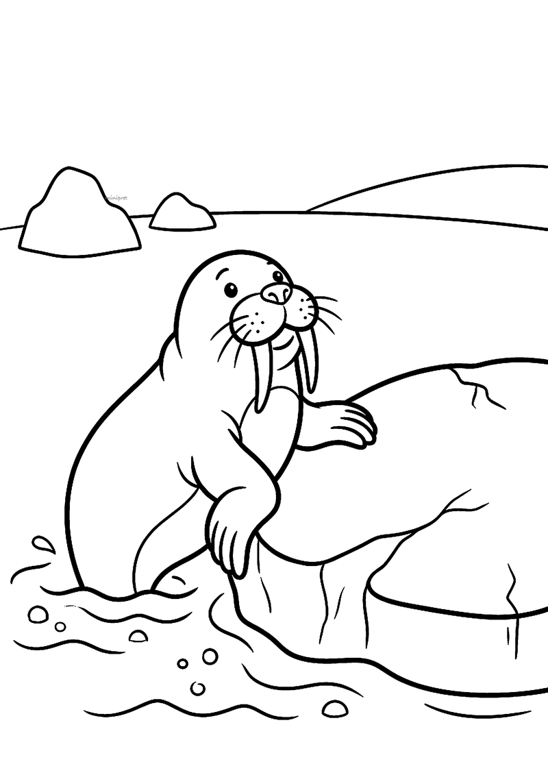 Kleurplaat van een walrus met lange slagtanden die uit het water op een ijsschots klimt, met ijsbergen verderop