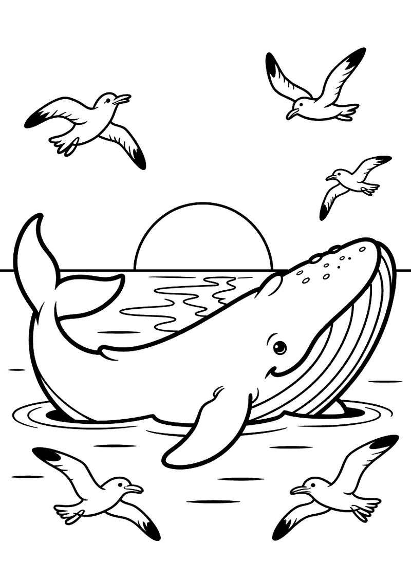 Kleurplaat van een walvis die zijn lichaam boven het water uitsteekt bij zonsondergang terwijl vijf meeuwen om hem heen