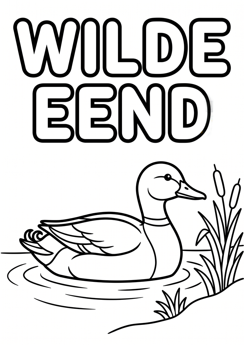 Wilde Eend Kleurplaat — gratis kleurplaat printen