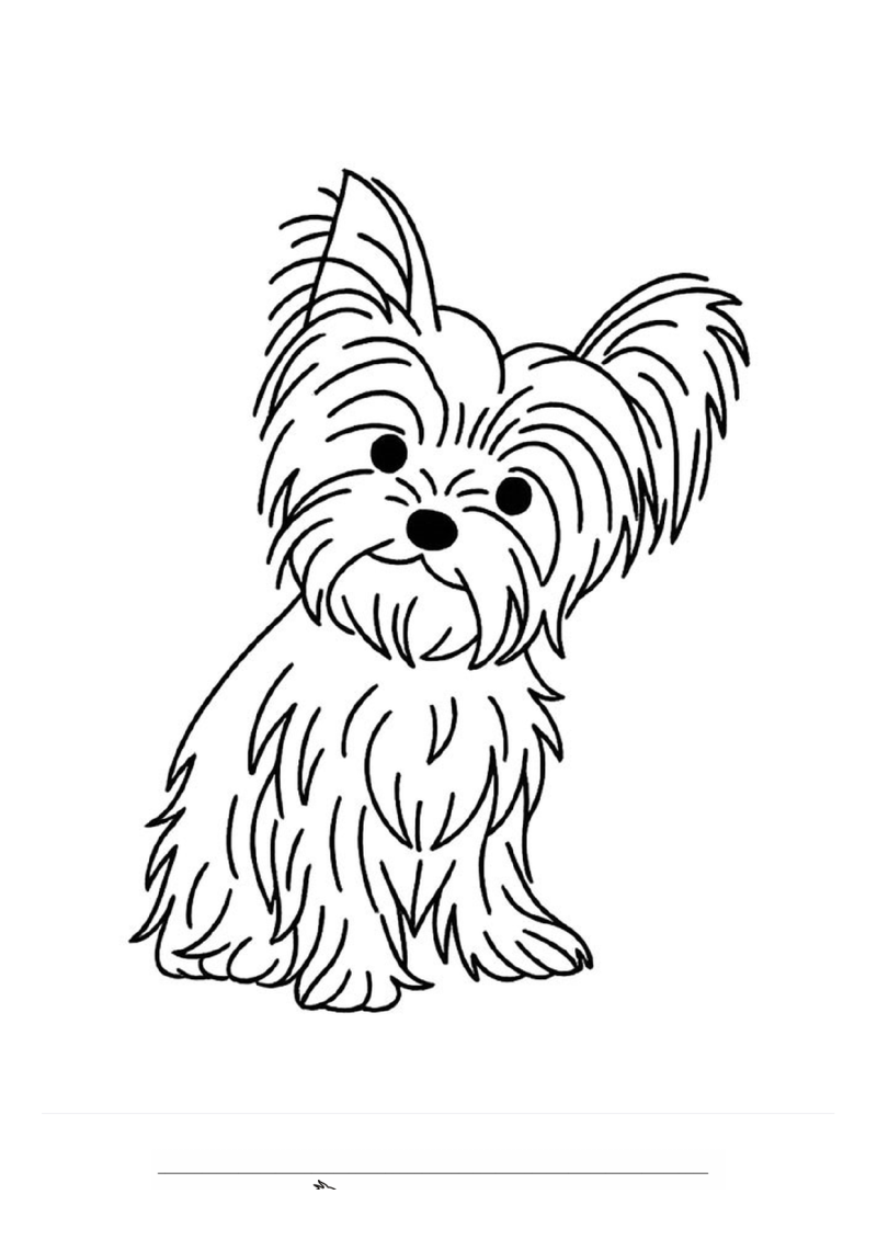 Yorkshire Terrier Kleurplaat — gratis kleurplaat printen