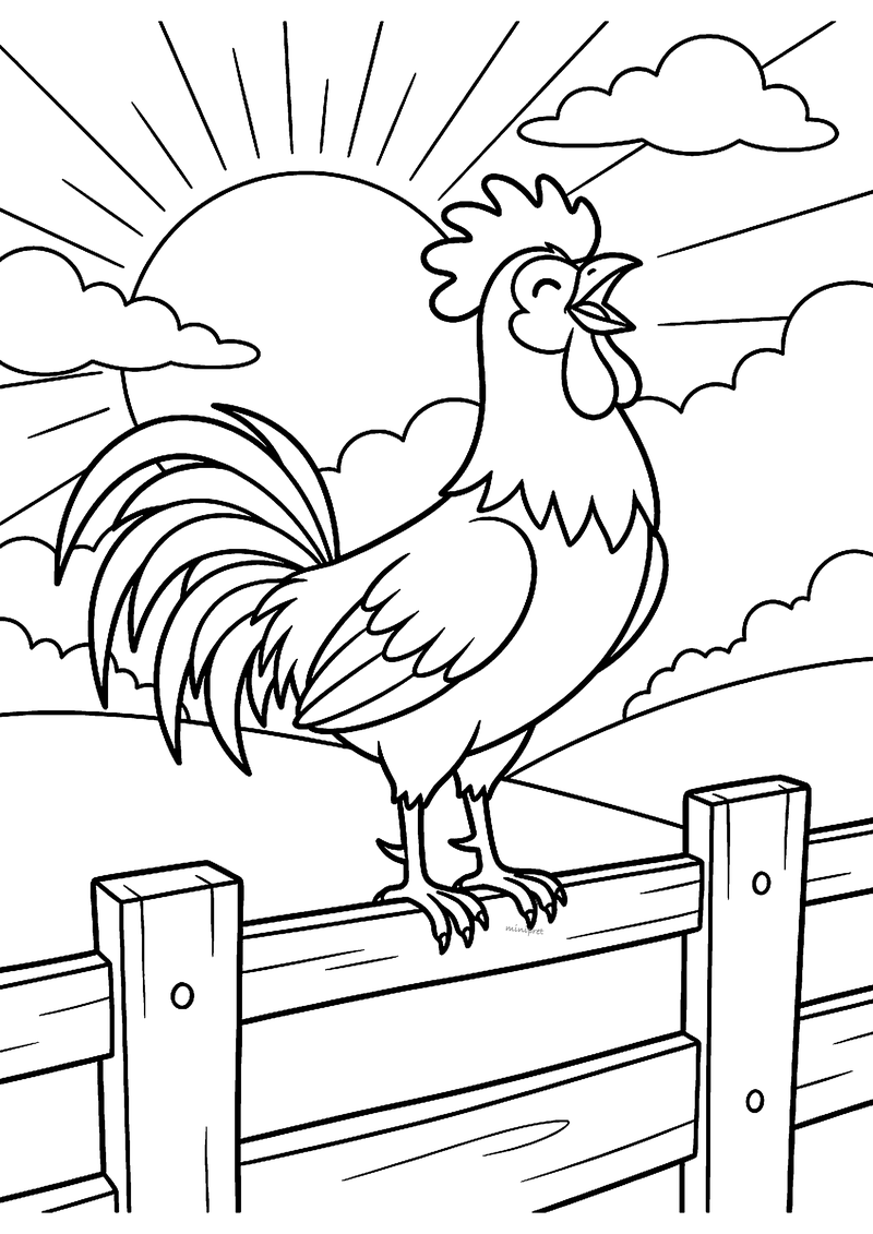 Kleurplaat van een haan die kraait op een houten hek terwijl de zon met stralen achter de heuvels opkomt