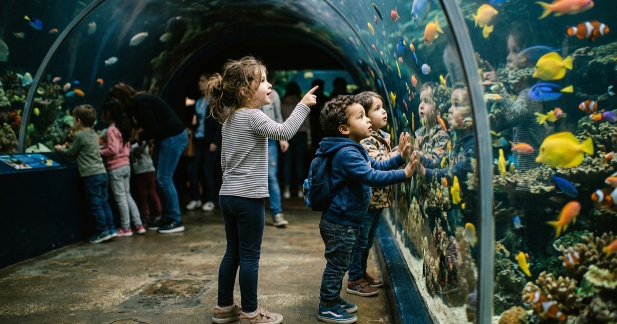 Met kinderen bij regen op de Veluwe