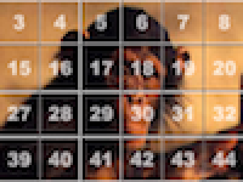 Aap Schuifpuzzel