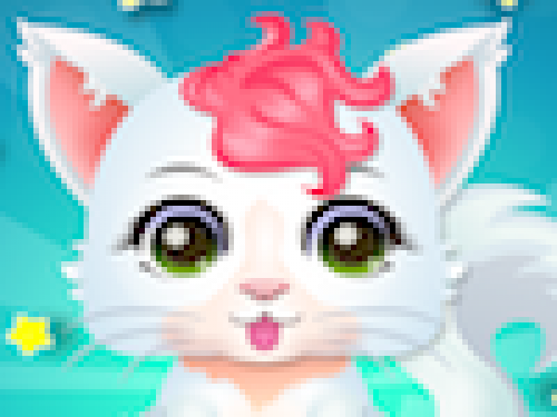 Baby Kattensalon