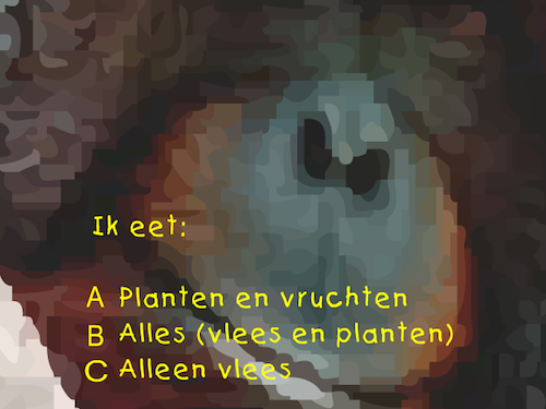Dieren Quiz