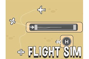 Flight Sim
