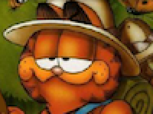 Garfield Verborgen Getallen