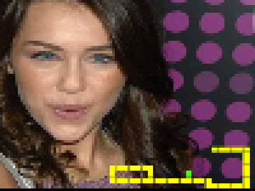 Hanna Montana Snake