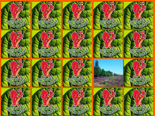 Heide Kaartjes Draaien