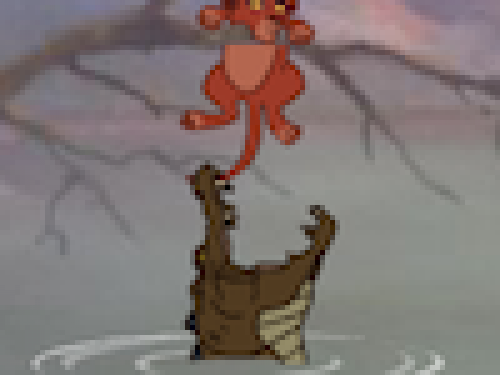 Lion King Krokodillen