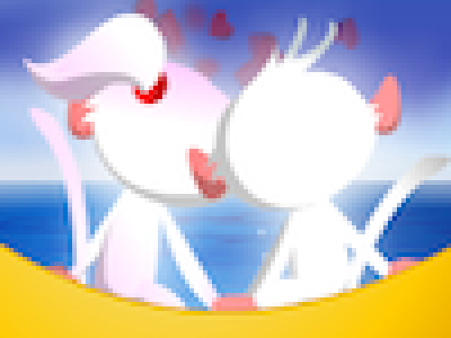 Meneer en Mevrouw Aap