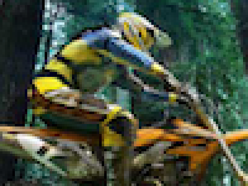 Motor Avontuur