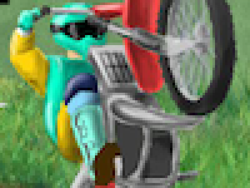 Motor Team