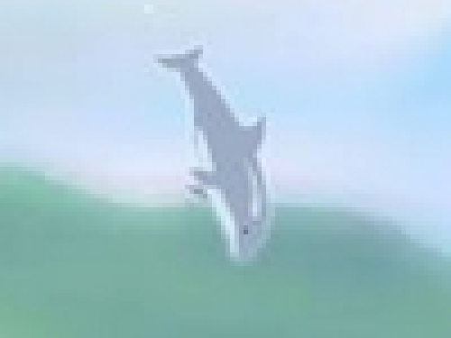 Olympische Spelen voor Dolfijnen