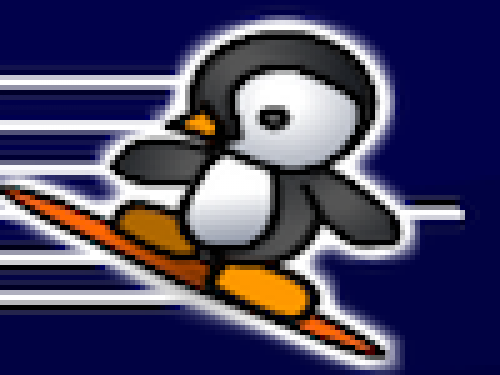 Pinguin Skate 2