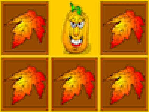 Pompoenen Kaartjes Draaien