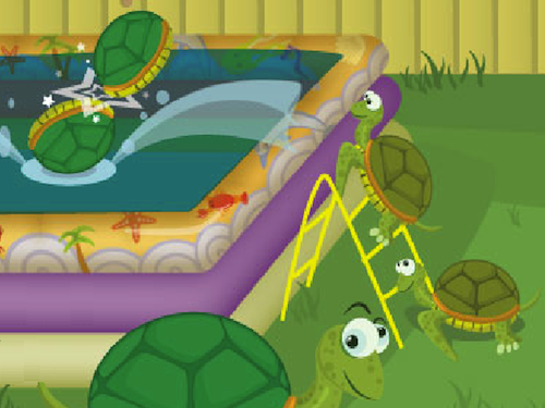 Schildpadden Zwembad