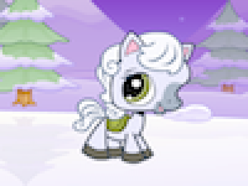 Sneeuwpony