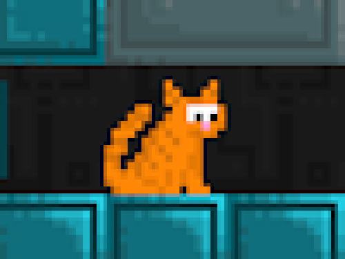 Vind de Kat