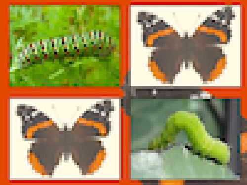 Vlinder Kaartjes Draaien