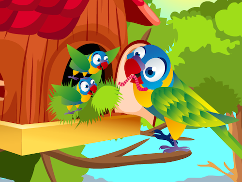 Vogelhuisje Inrichten