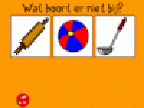 Wat hoort er niet bij