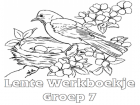 Lente Werkboekje Groep 7 — gratis werkboekje PDF