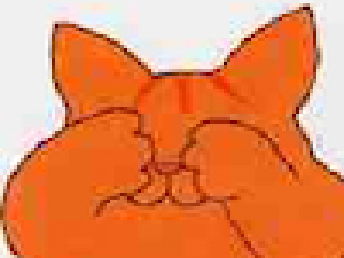 Verstoppertje met Dikkie Dik