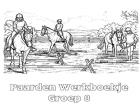 Paarden Werkboekje Groep 8 — gratis werkboekje PDF
